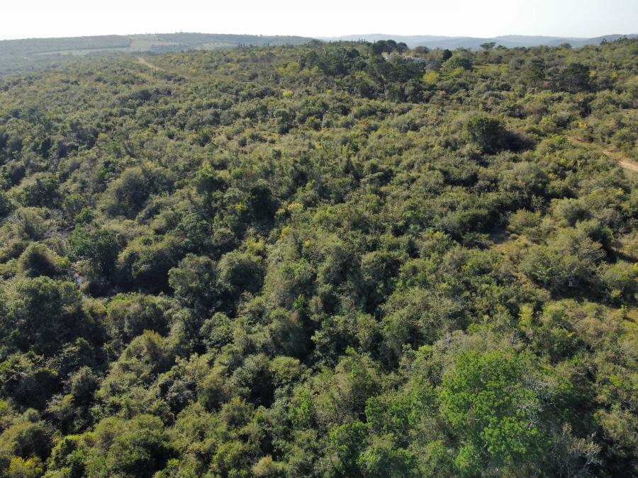 0 Bedroom Property for Sale in East London Rural Eastern Cape